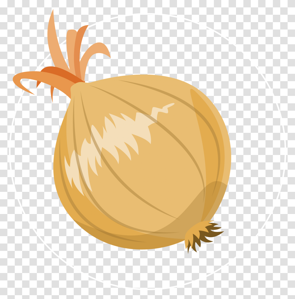 Onion Icon Onion Icon, Plant, Vegetable, Food, Nut Transparent Png