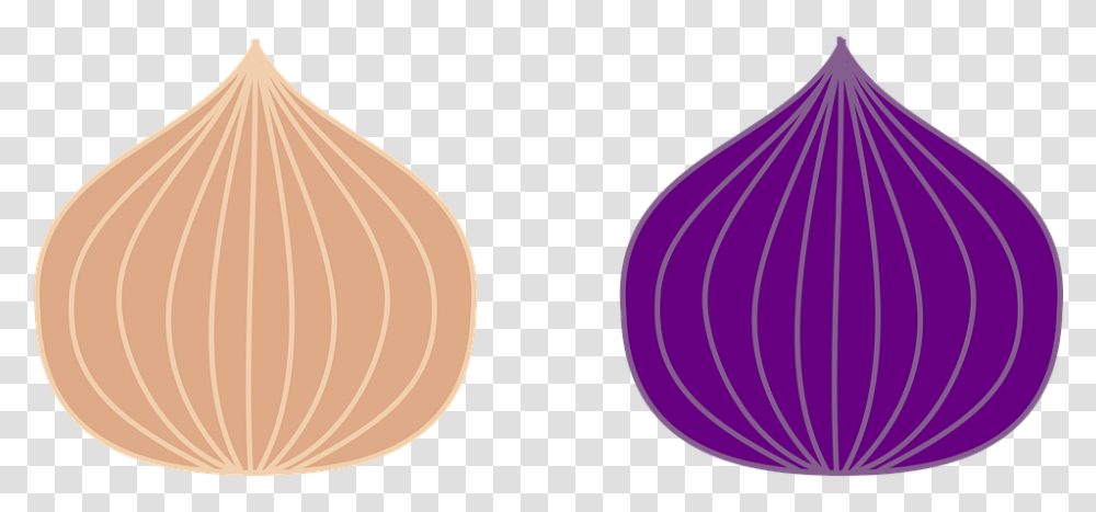 Onion Icon Vegetables Food Healthy Power Salad Bawang Merah Vektor, Plant, Lamp, Wood, Outdoors Transparent Png