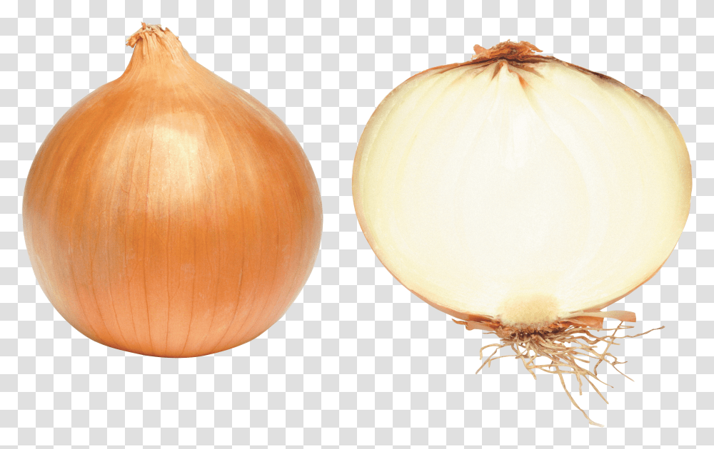 Onion Image Icon Favicon Onion, Plant, Vegetable, Food, Shallot Transparent Png