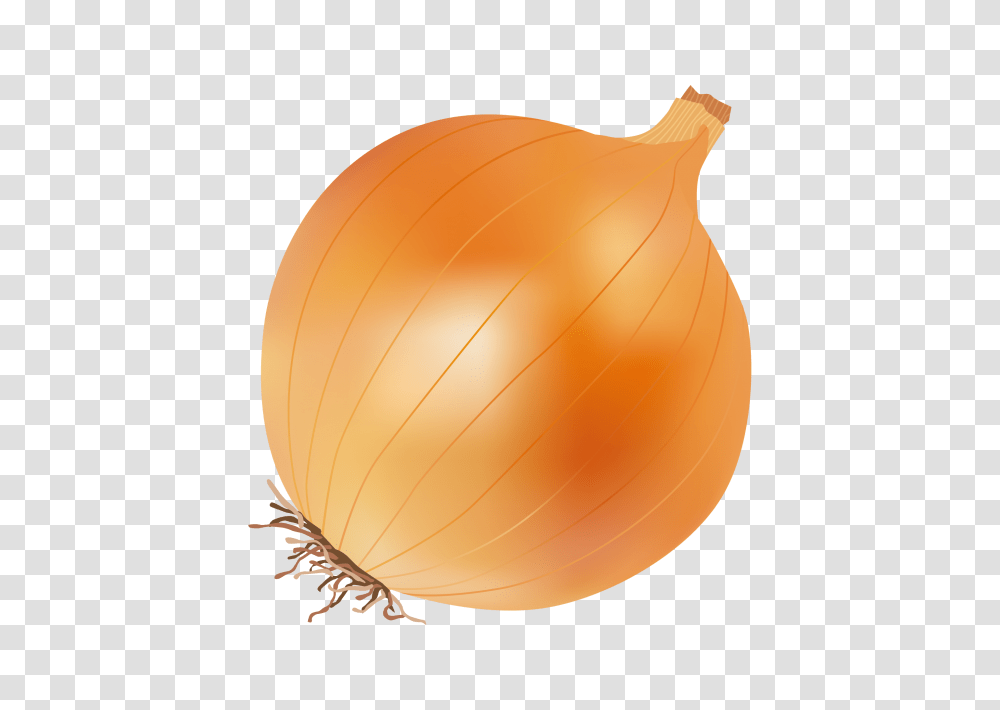 Onion Image, Plant, Shallot, Vegetable, Food Transparent Png