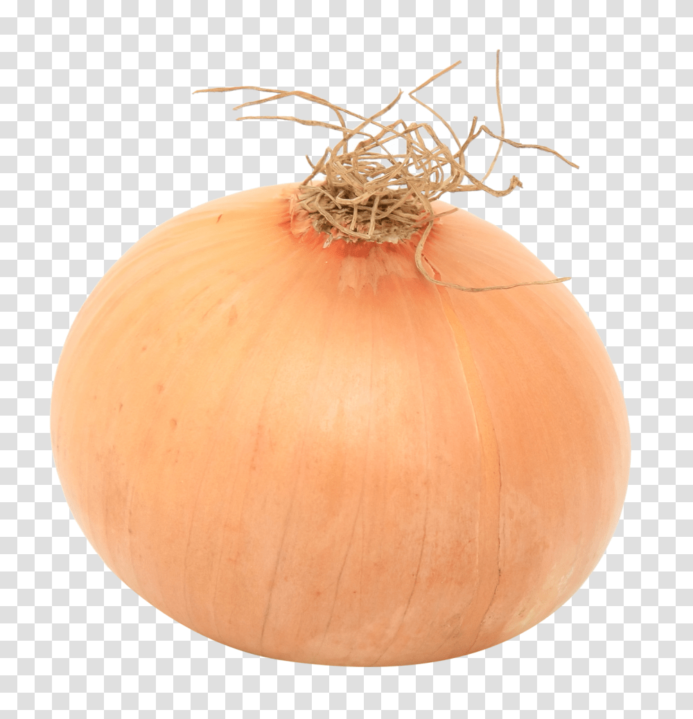 Onion Image, Vegetable, Lamp, Plant, Food Transparent Png