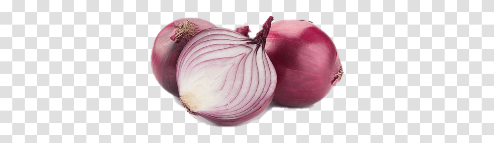 Onion Images Background Play Queen Of Vegetables, Plant, Shallot, Food Transparent Png