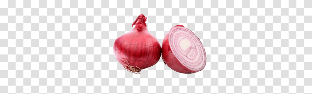 Onion Images, Plant, Shallot, Vegetable, Food Transparent Png