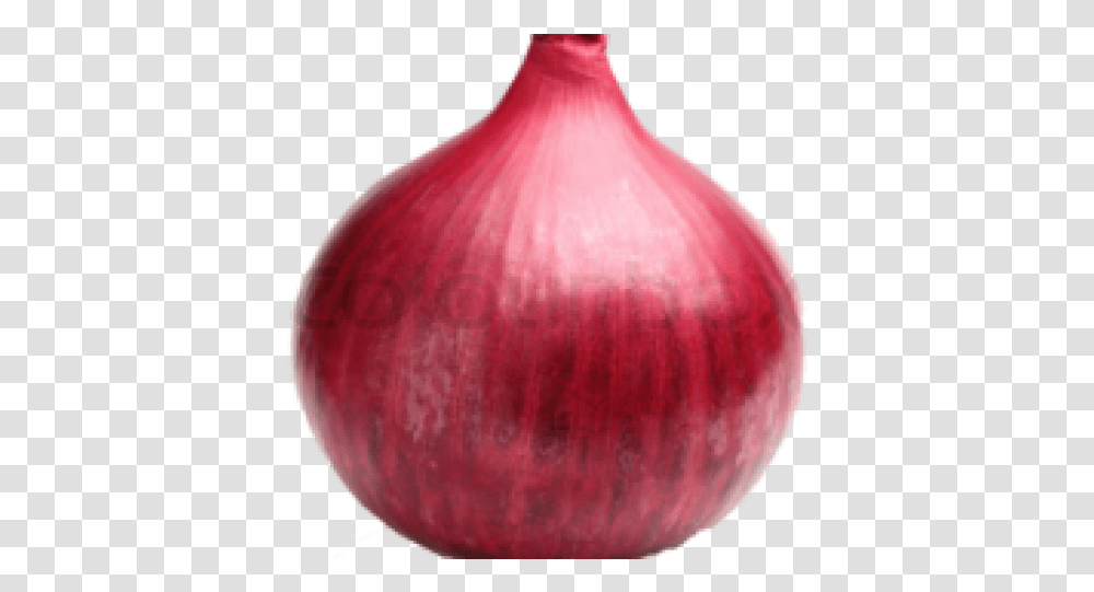 Onion Images Red Onion, Plant, Shallot, Vegetable, Food Transparent Png