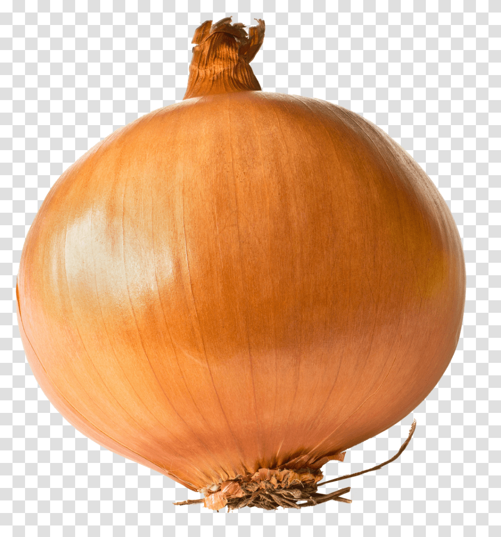 Onion Links Onion One, Lamp, Plant, Vegetable, Food Transparent Png