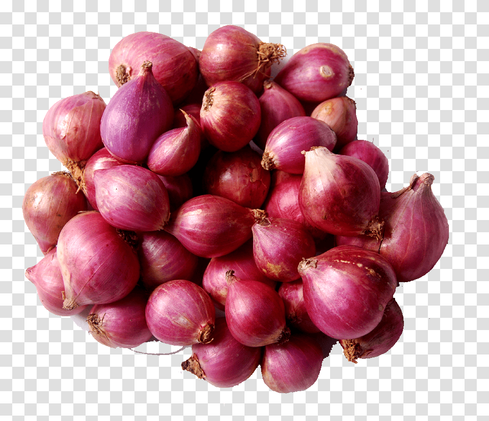 Onion Onion In Sri Lanka, Plant, Shallot, Vegetable, Food Transparent Png