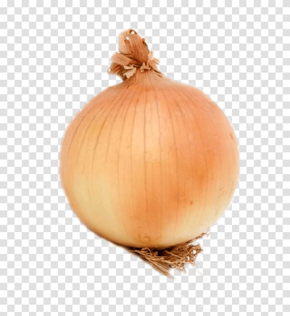 Onion Onion, Plant, Vegetable, Food, Shallot Transparent Png