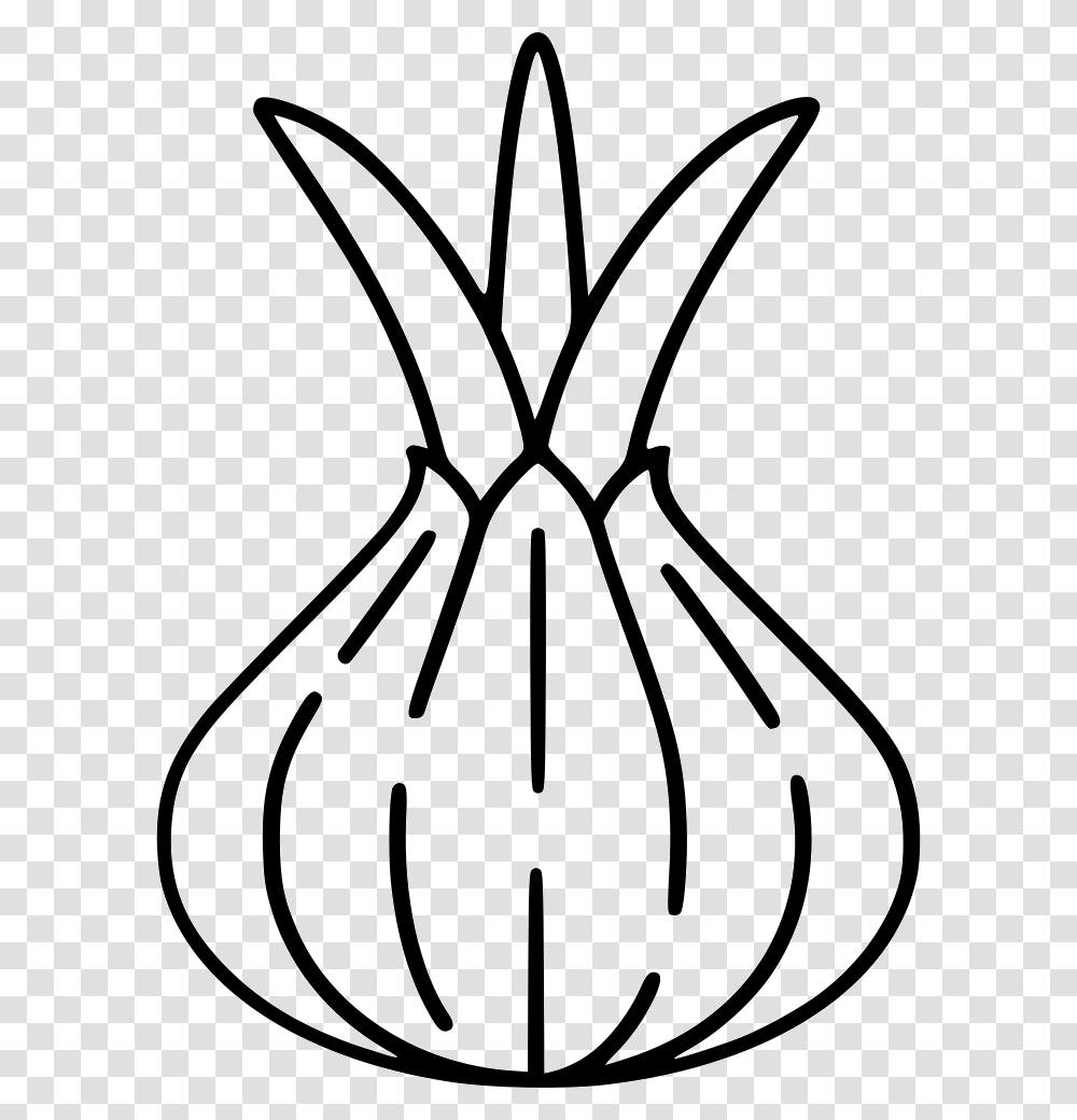 Onion Outline, Plant, Stencil, Vase, Jar Transparent Png