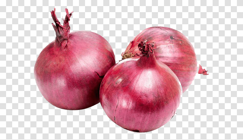 Onion Photo, Plant, Shallot, Vegetable, Food Transparent Png