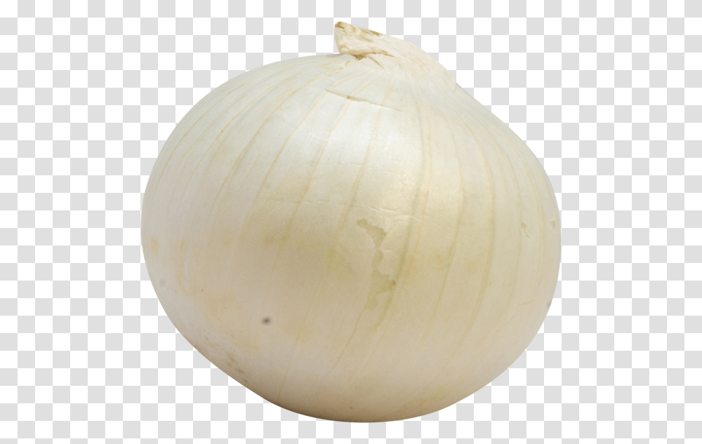 Onion, Plant, Lamp, Vegetable, Food Transparent Png