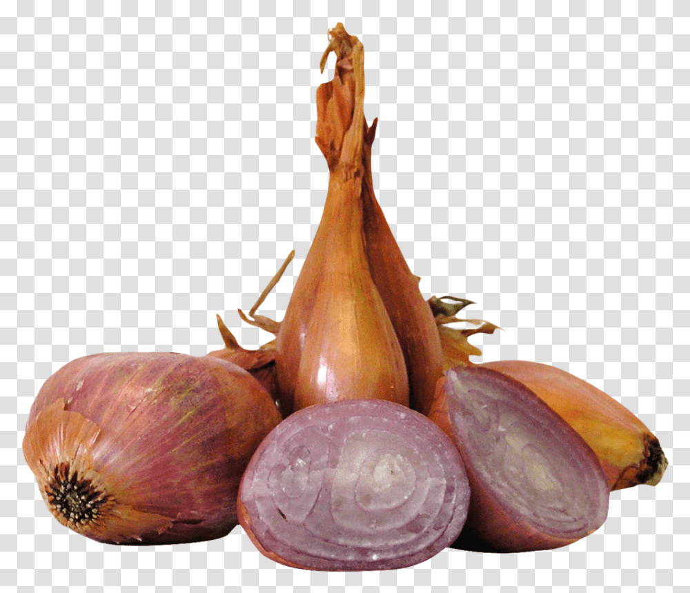 Onion, Plant, Shallot, Vegetable, Food Transparent Png