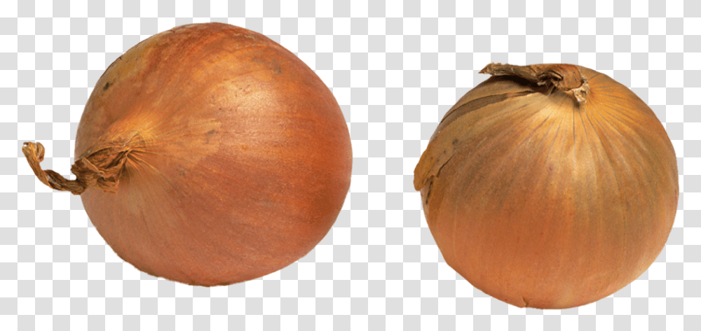 Onion Plant, Vegetable, Food, Produce, Moon Transparent Png