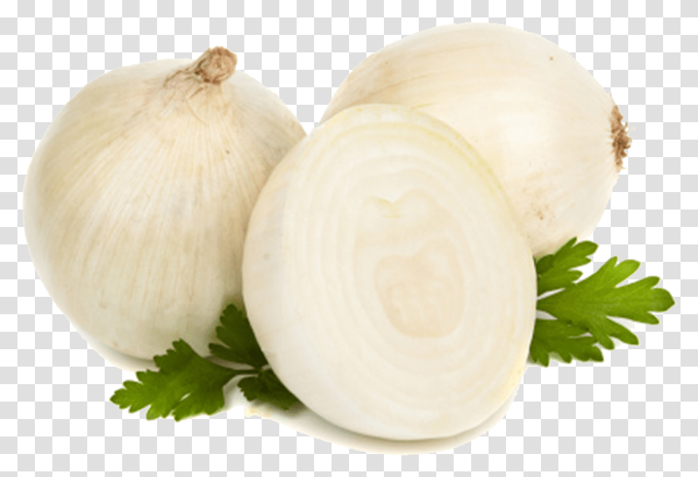 Onion, Plant, Vegetable, Food, Produce Transparent Png
