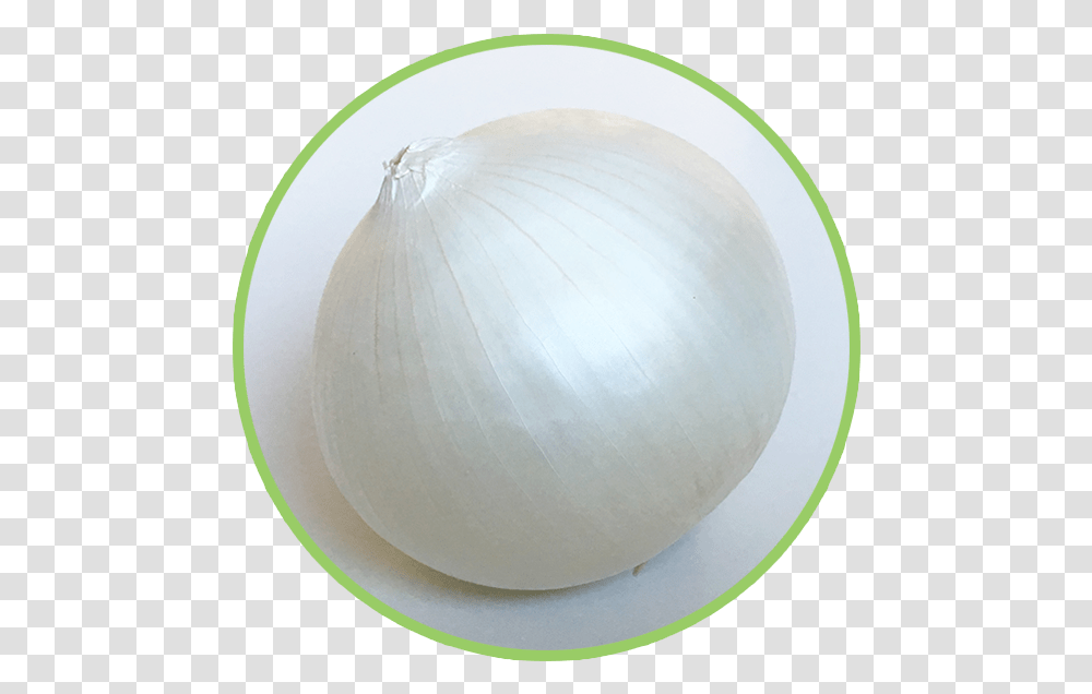 Onion, Plant, Vegetable, Food, Shallot Transparent Png