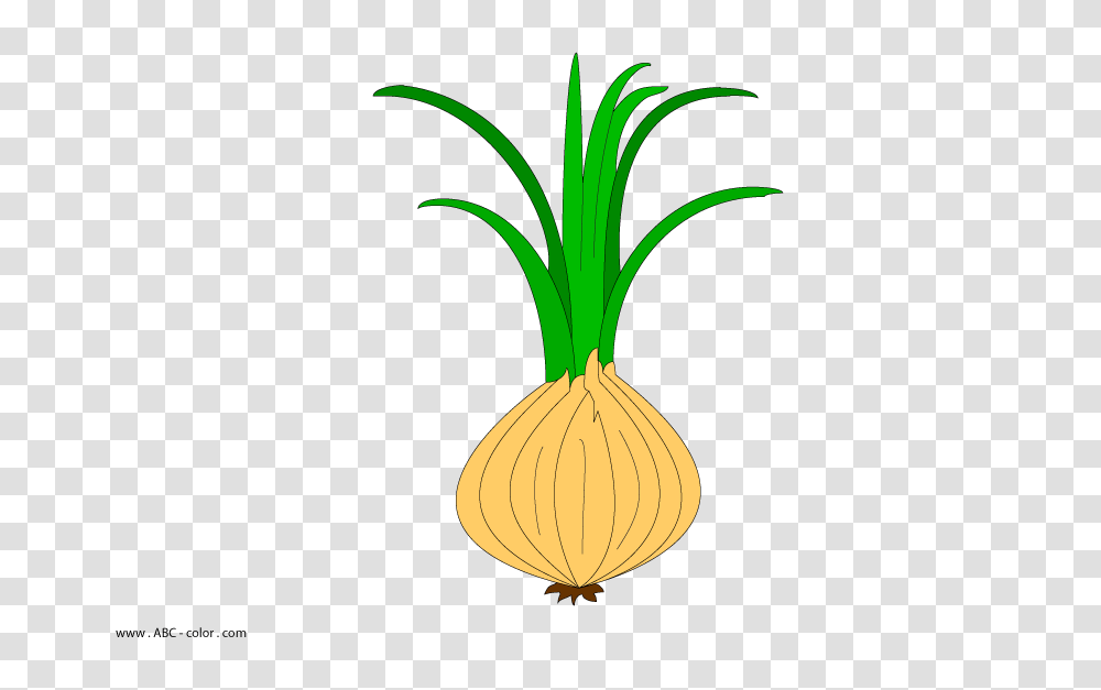 Onion Raster Picture, Plant, Vegetable, Food, Produce Transparent Png