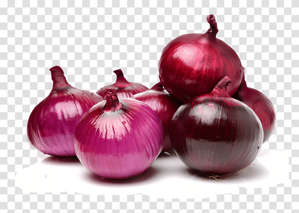 Onion Red Onion, Plant, Shallot, Vegetable, Food Transparent Png