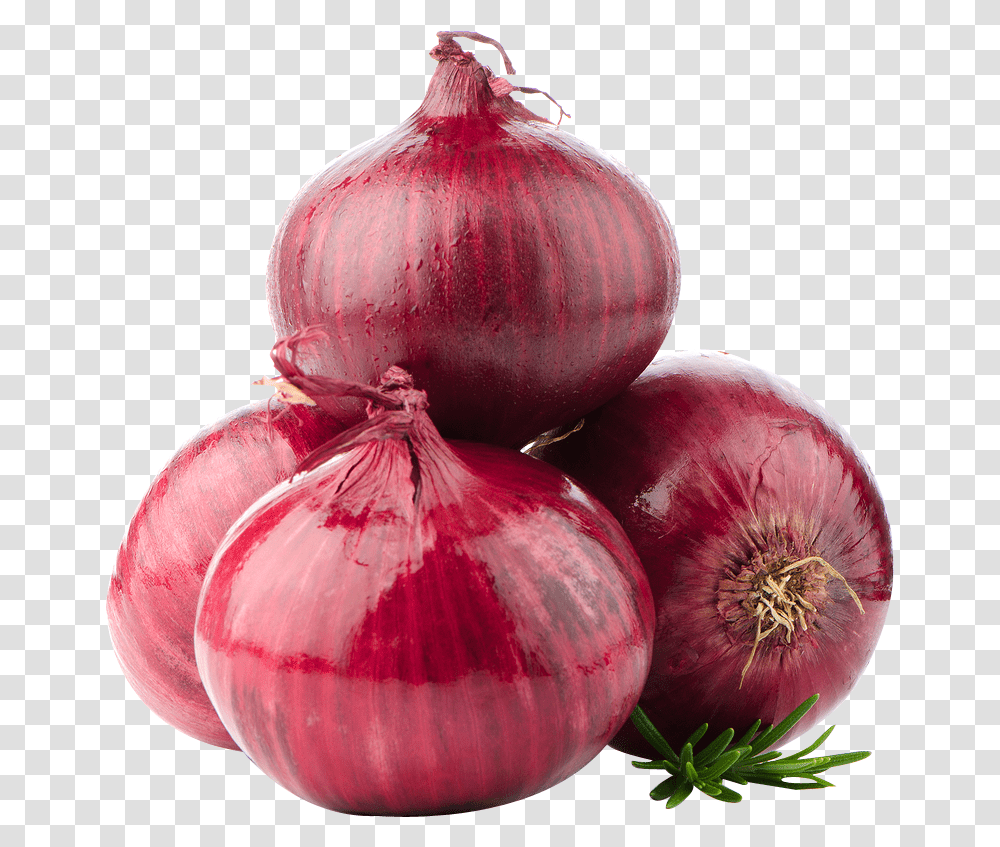 Onion Red Onions, Plant, Shallot, Vegetable, Food Transparent Png