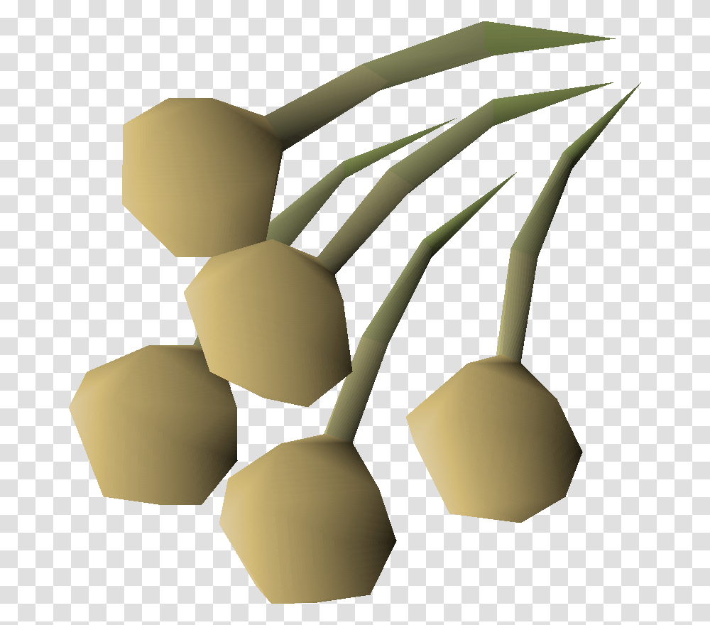Onion Seed Osrs, Lamp, Plant, Flower, Food Transparent Png