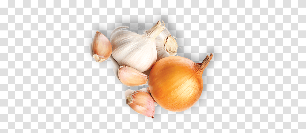 Onion Shallot, Plant, Vegetable, Food, Fungus Transparent Png