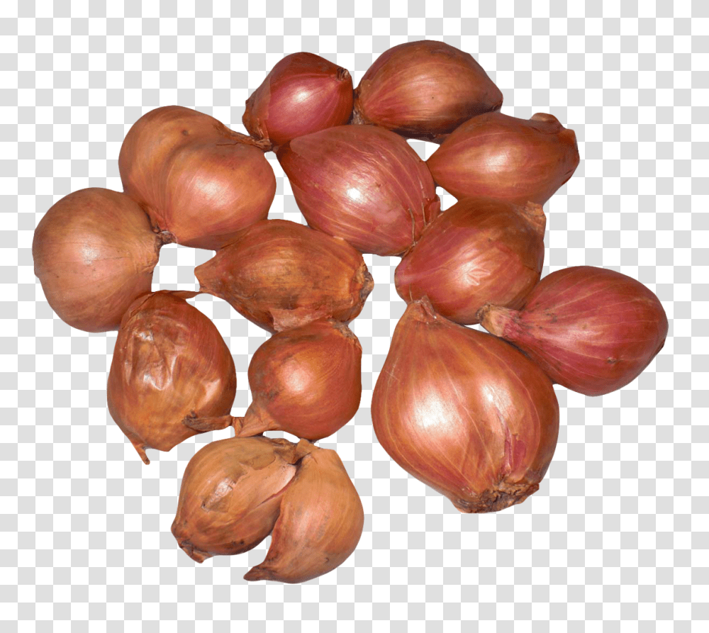 Onion Shallots Image, Vegetable, Plant, Food Transparent Png