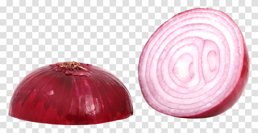 Onion Slice Red Onion, Plant, Shallot, Vegetable, Food Transparent Png
