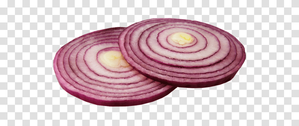 Onion Slice Red Onion Sliced, Plant, Rose, Flower, Blossom Transparent Png