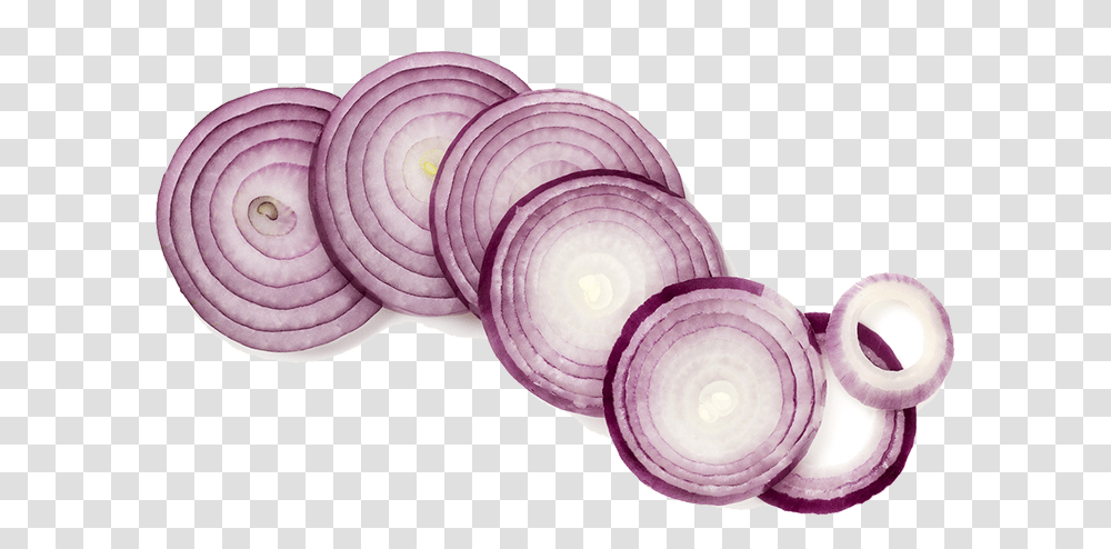 Onion Sliced Download, Plant, Food, Vegetable, Shallot Transparent Png