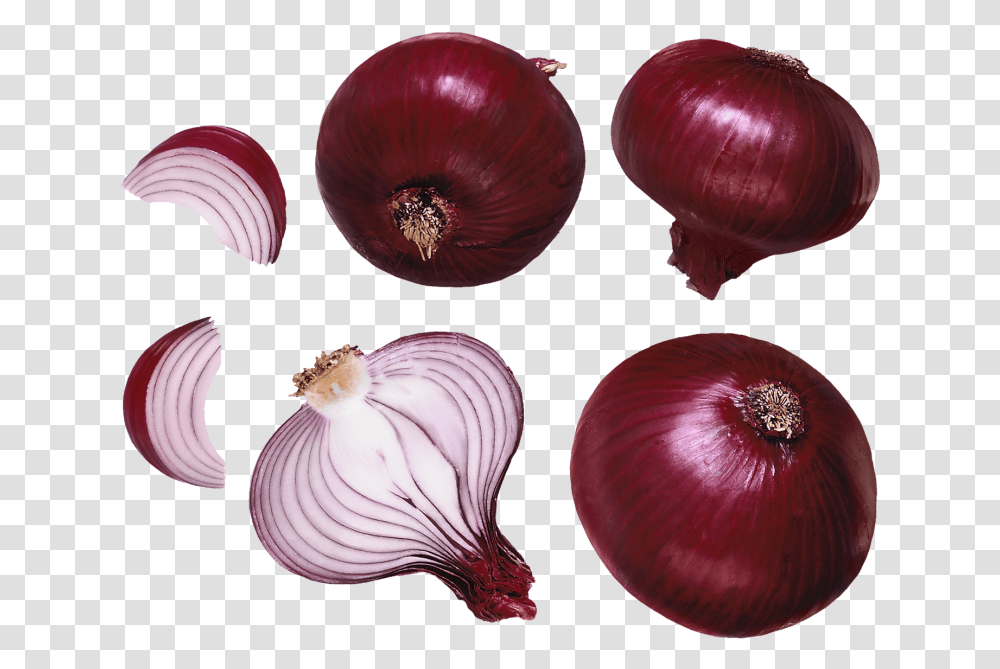 Onion Swelling Insect Bites Treatment, Plant, Shallot, Vegetable, Food Transparent Png