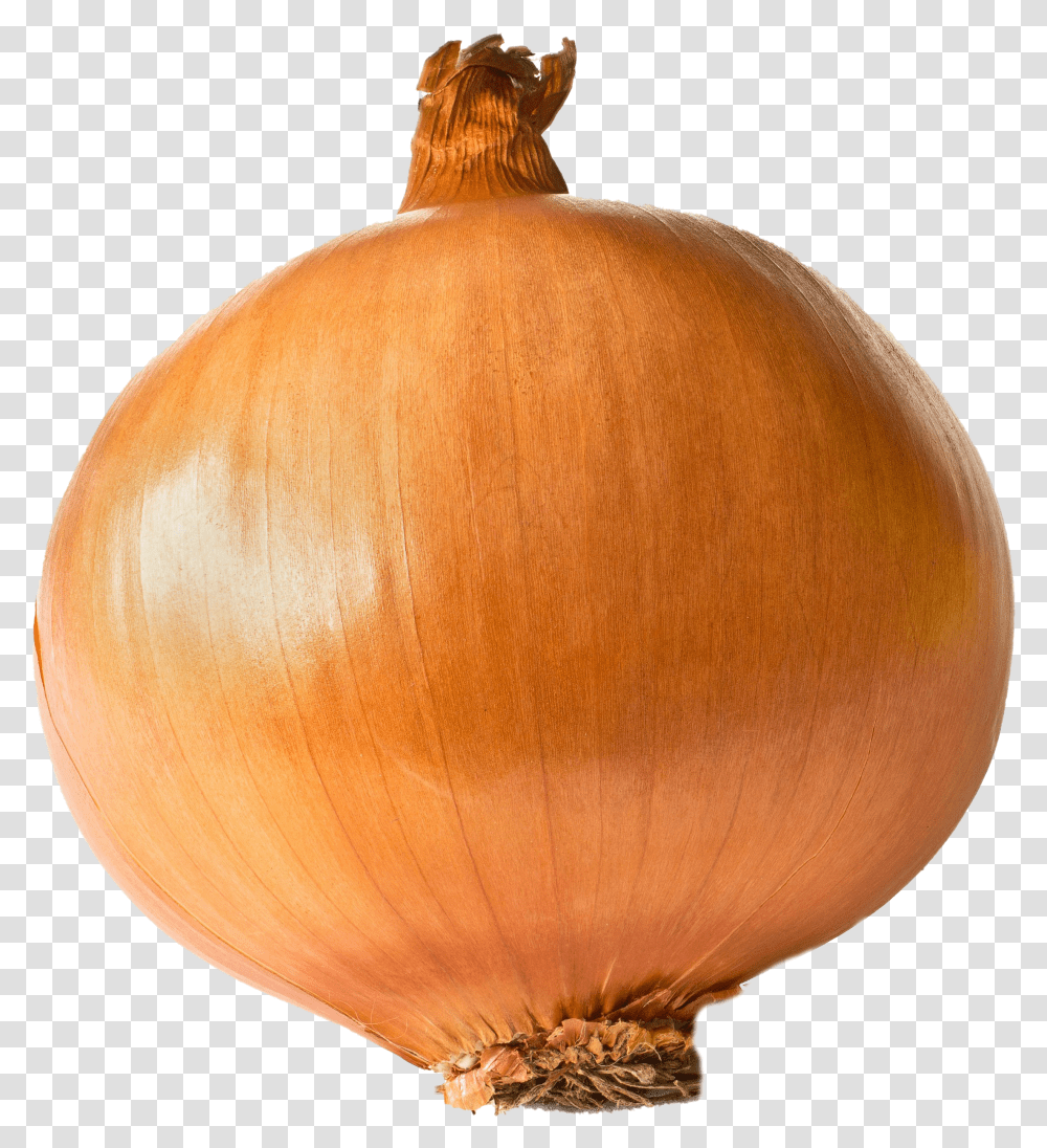 Onion Transparent Png