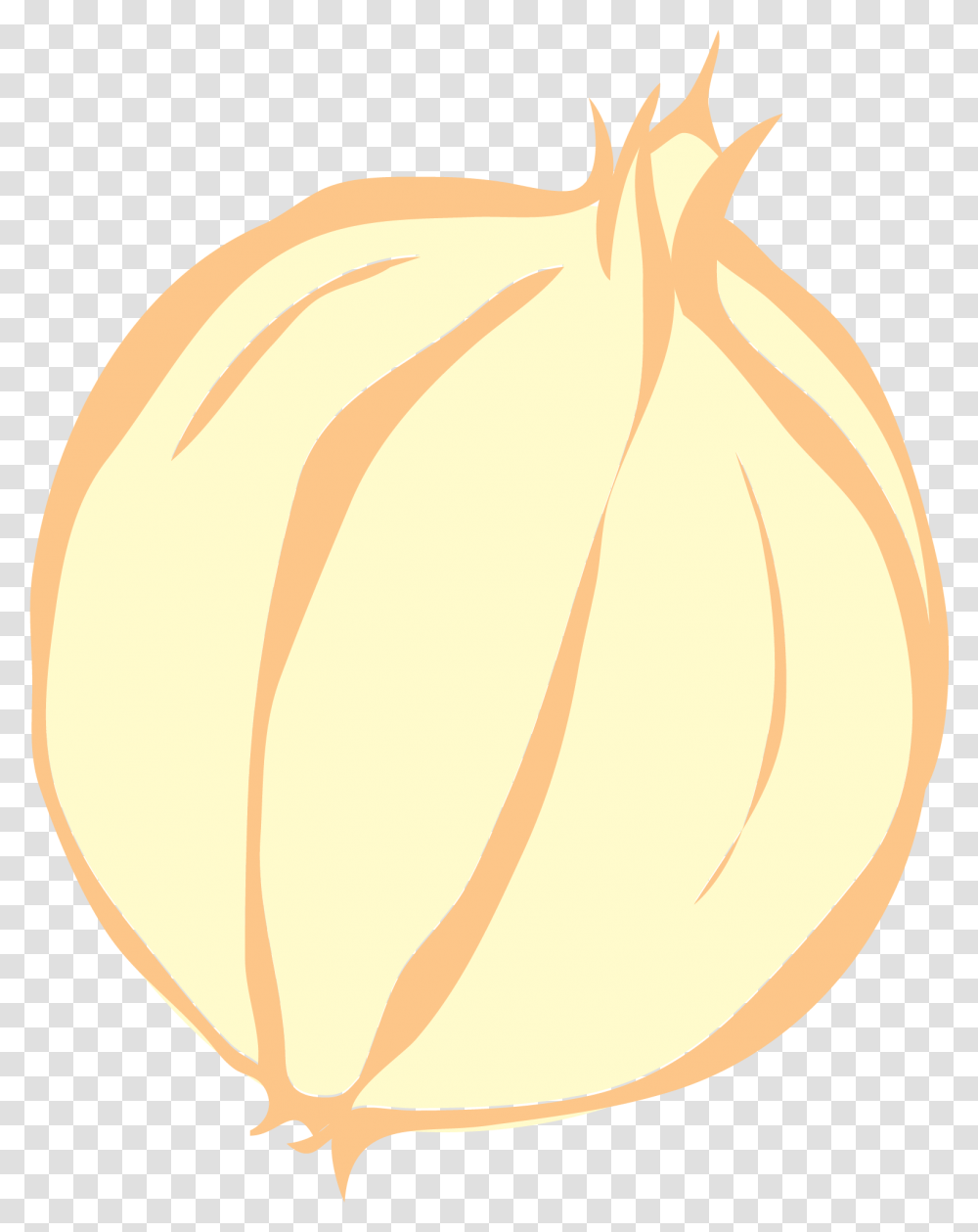 Onion Vector Clip Art Garlic, Plant, Vegetable, Food, Shallot Transparent Png
