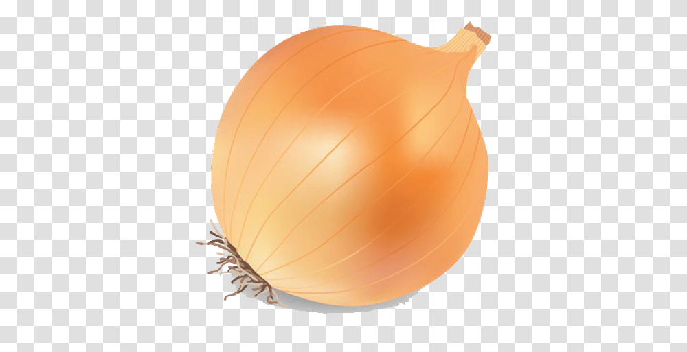 Onion Vector Image Background Onion Vector, Plant, Balloon, Shallot, Vegetable Transparent Png