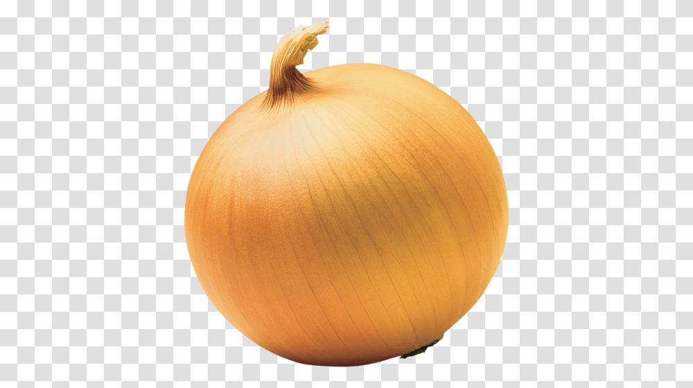 Onion, Vegetable, Lamp, Plant, Food Transparent Png