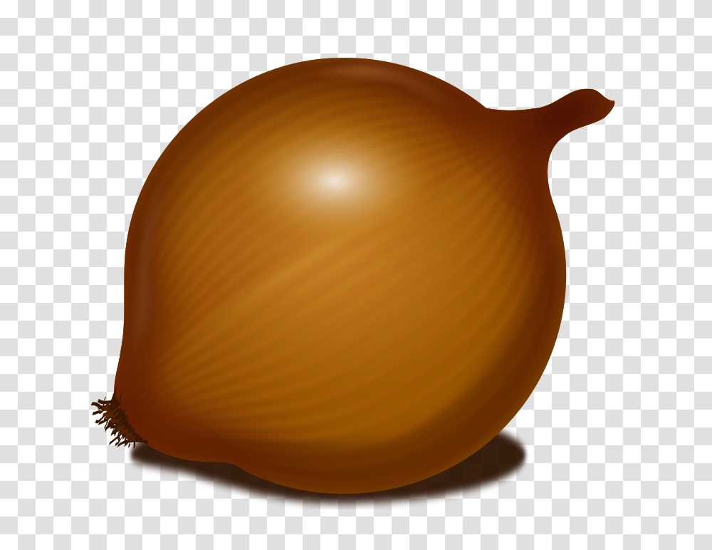 Onion, Vegetable, Plant, Food, Lamp Transparent Png