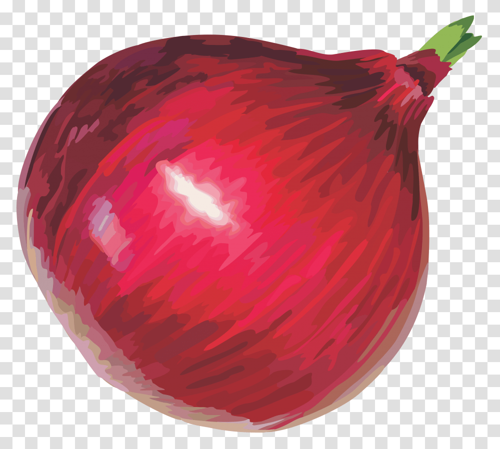 Onion, Vegetable, Plant, Food, Rug Transparent Png