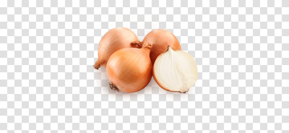 Onion, Vegetable, Plant, Food, Shallot Transparent Png