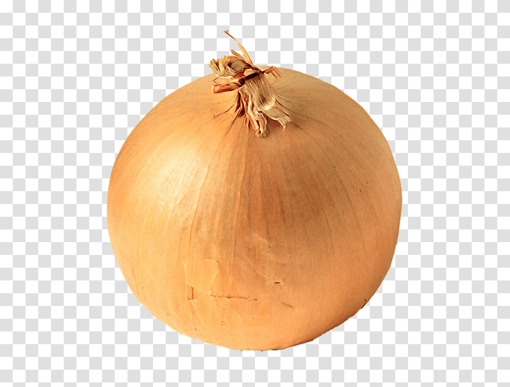 Onion, Vegetable, Plant, Food, Shallot Transparent Png