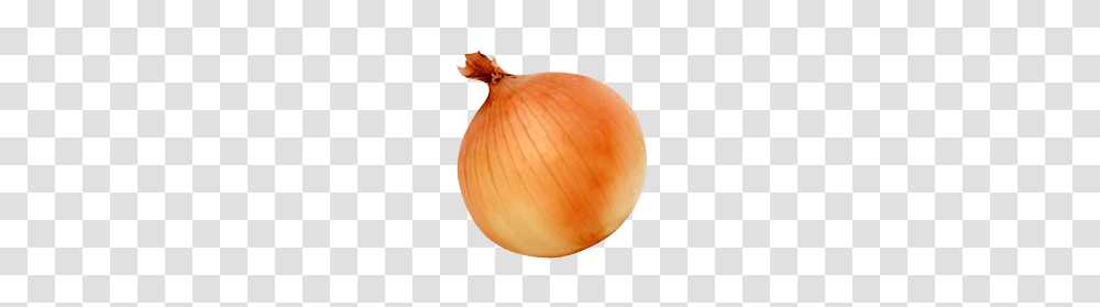 Onion, Vegetable, Plant, Food, Shallot Transparent Png