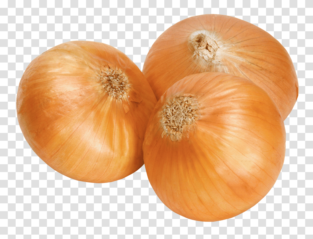 Onion, Vegetable, Plant, Food, Shallot Transparent Png