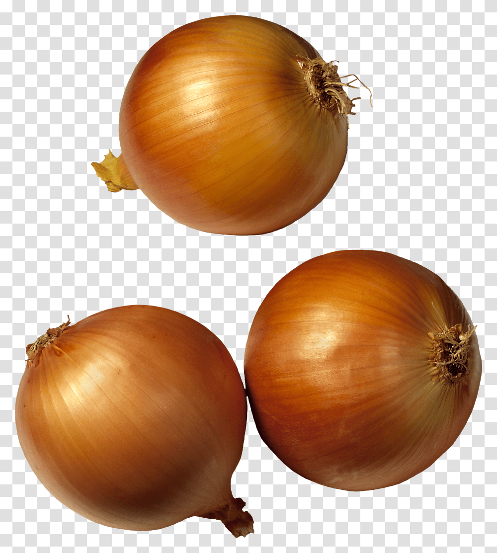 Onion, Vegetable, Plant, Food, Shallot Transparent Png