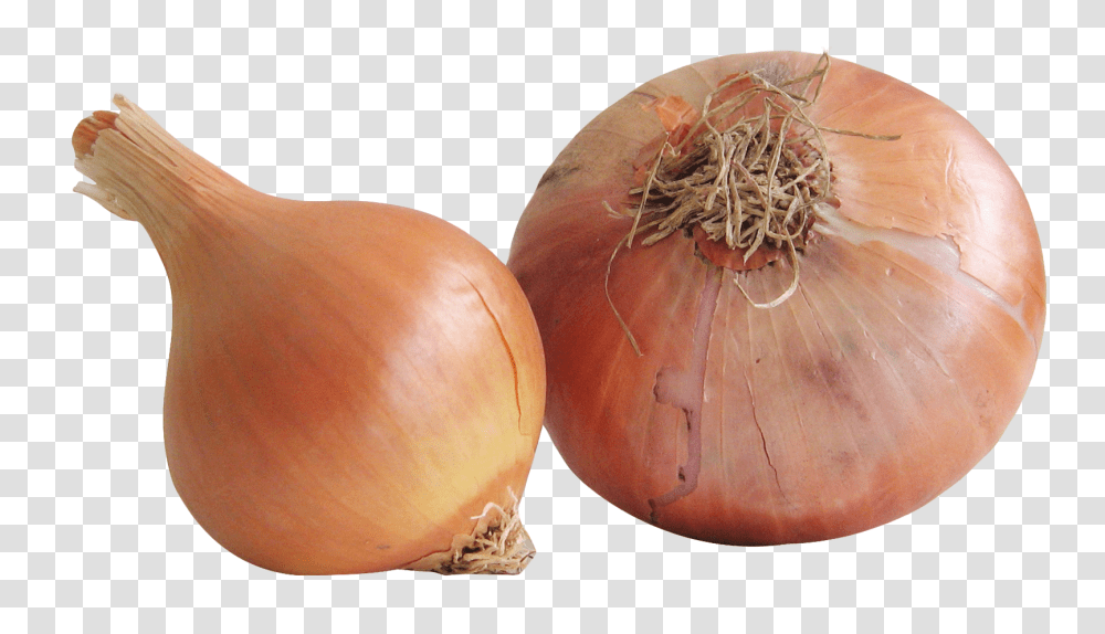 Onion, Vegetable, Plant, Shallot, Food Transparent Png