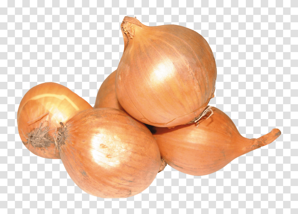 Onion, Vegetable, Plant, Shallot, Food Transparent Png