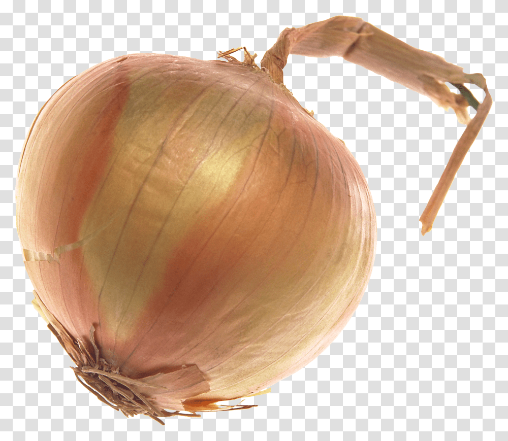 Onion, Vegetable, Plant, Shallot, Food Transparent Png