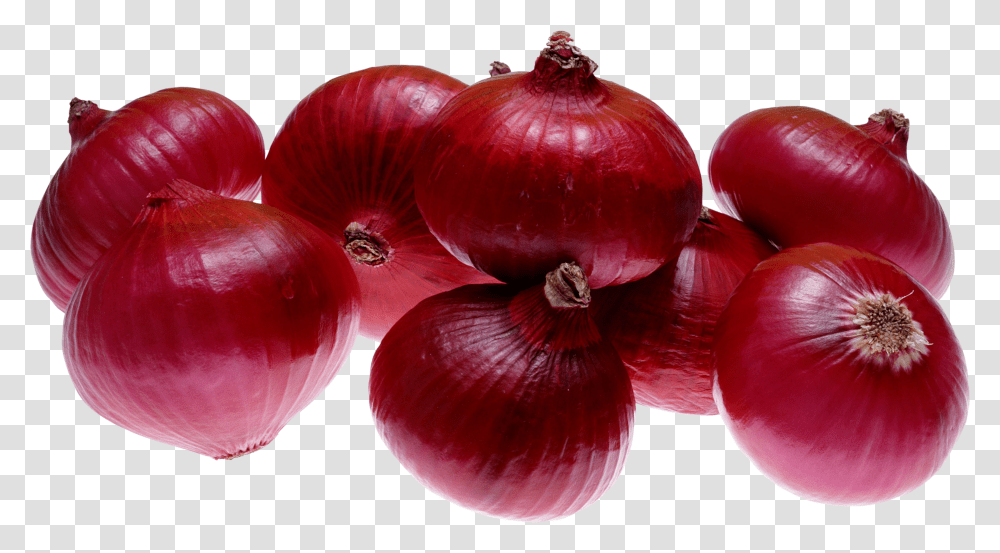 Onion, Vegetable, Plant, Shallot, Food Transparent Png