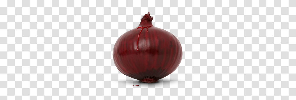 Onion, Vegetable, Plant, Shallot, Food Transparent Png