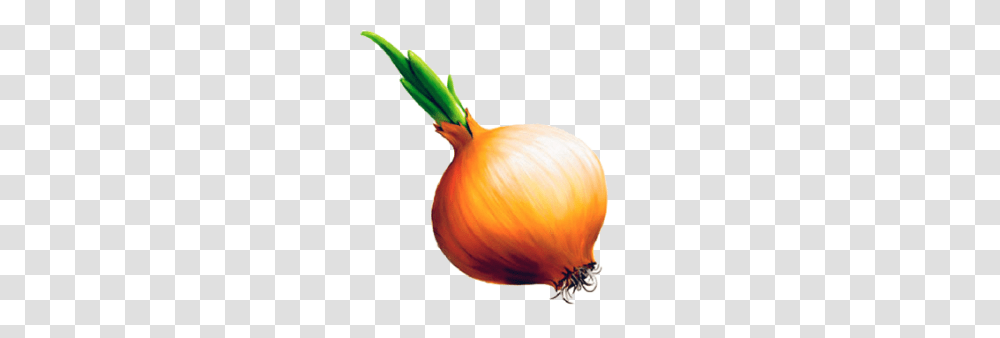 Onion, Vegetable, Plant, Shallot, Food Transparent Png