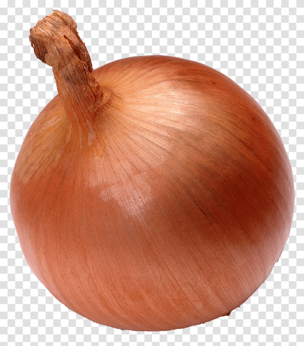 Onion Vegetable Seed Watermelon Onion, Fungus, Plant, Shallot, Food Transparent Png