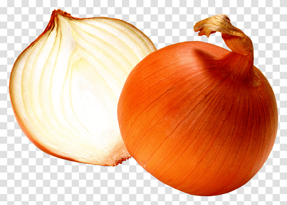 Onion, Vegetable Transparent Png