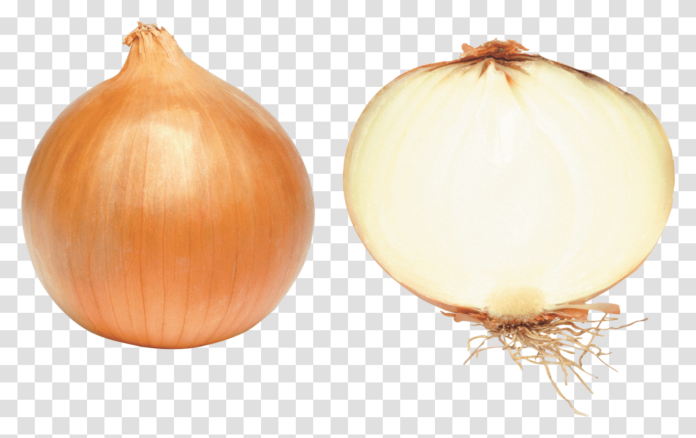 Onion, Vegetable Transparent Png