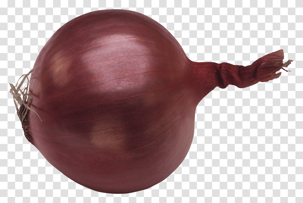 Onion, Vegetable Transparent Png