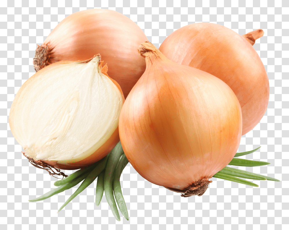 Onion, Vegetable Transparent Png